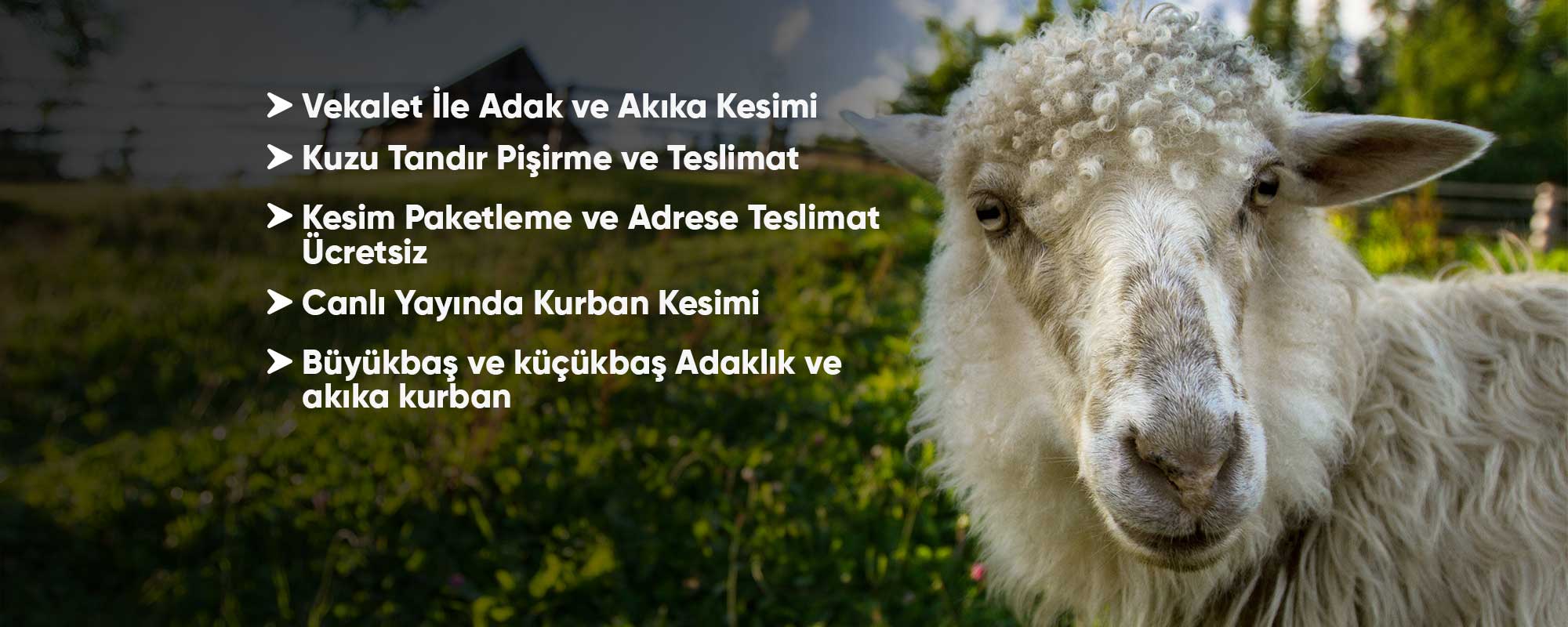 Birlik Hayvancılık