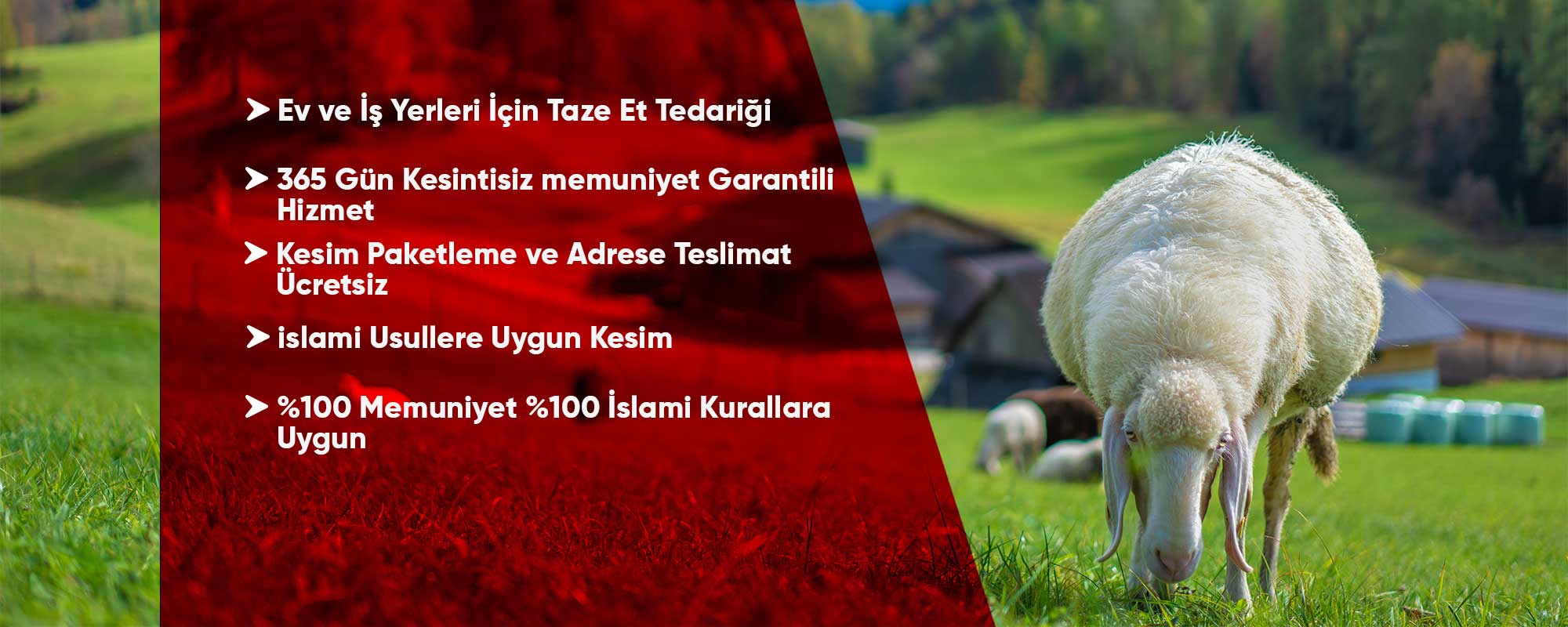 Birlik Hayvancılık